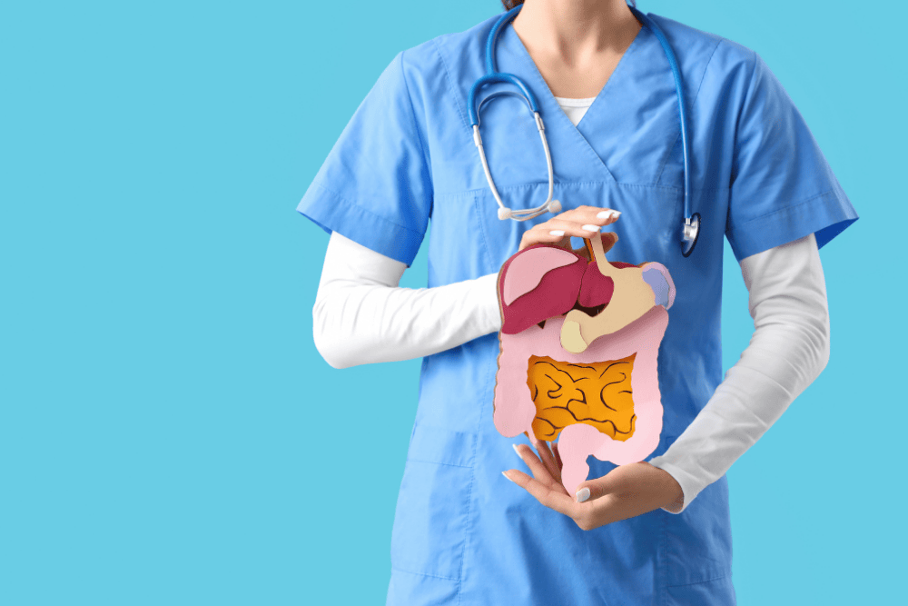 Darmgesundheit verstehen: Das Zusammenspiel von Verdauung, Entzündung und Mikrobiom