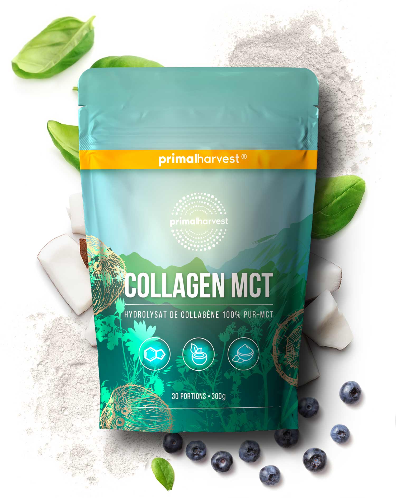Collagen MCT